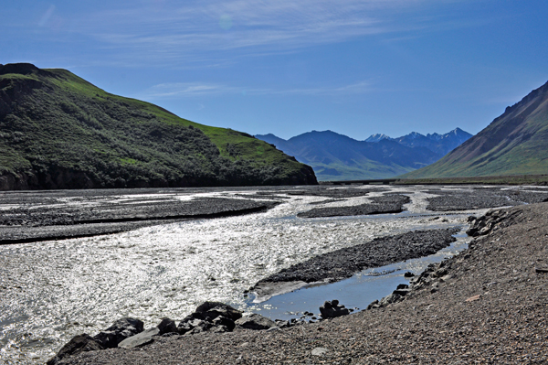 river in Denali National Park